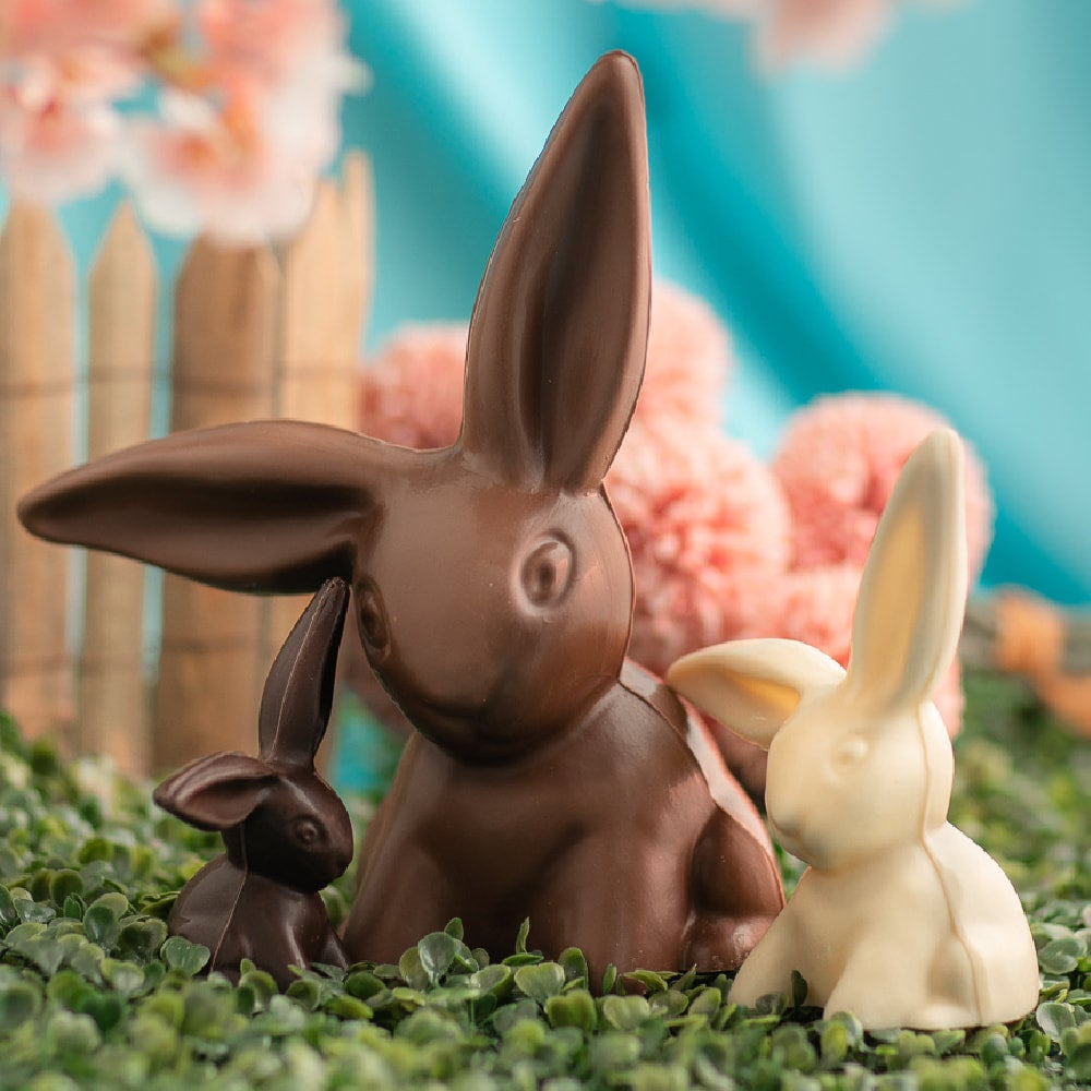 Andy Waehol、CHOCOLATE BUNNY、海外版超希少レゾネ Andy Waehol、CHOCOLATE BUNNY、海外版超希少レゾネ